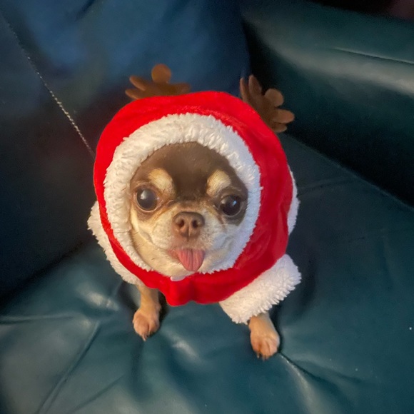 Meet your Posher, Evelyn - Picture 7 of 8